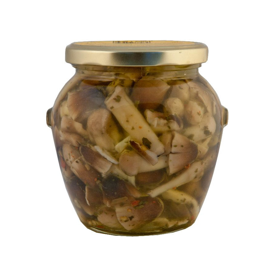 Funghi di muschio in olio 550g
